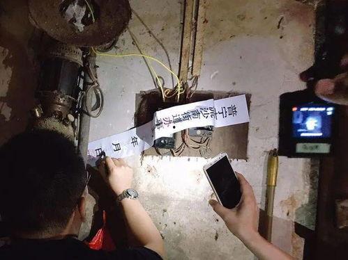 屠宰最新爆料消息网,屠宰行业惊人内幕大揭秘！  第1张